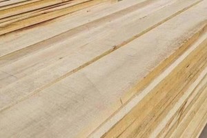 广西柳州市2023年木材加工产值预计达410亿元