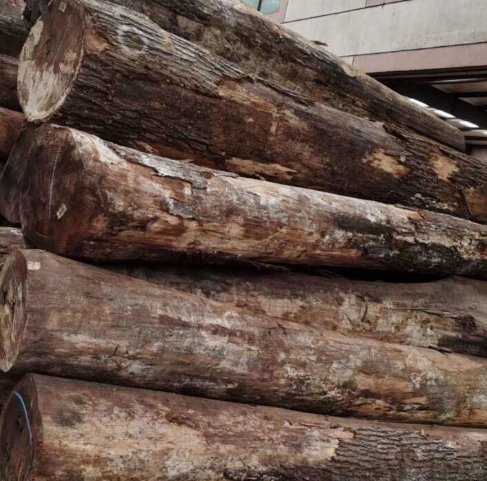 非洲木材生产行情