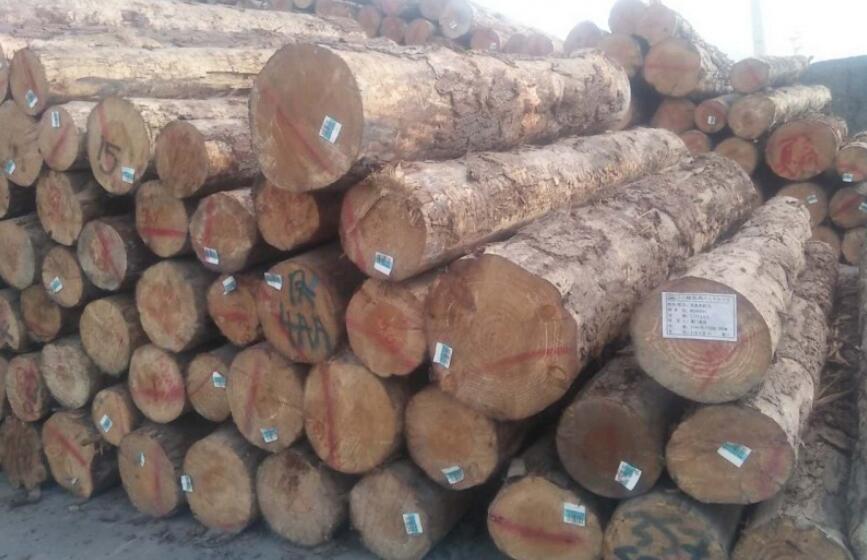 新西兰进口原木价格行情