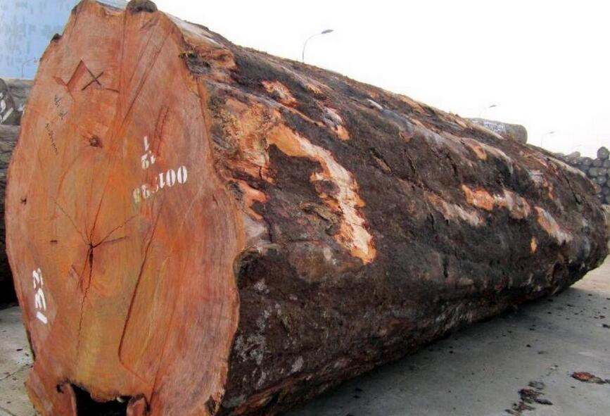 中国需求导致巴西原木出口下降