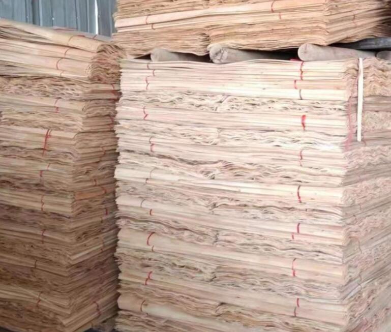  广西来宾忻城招商引资助推木业产业发展