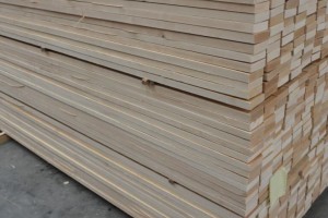 欧洲桦木板材价格行情-2024年2月24日