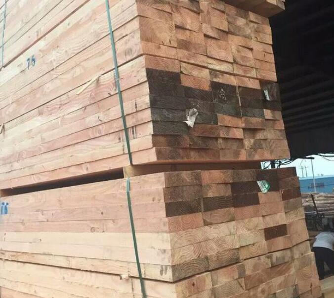 总投资2.2亿元 6个木材加工项目落户环江
