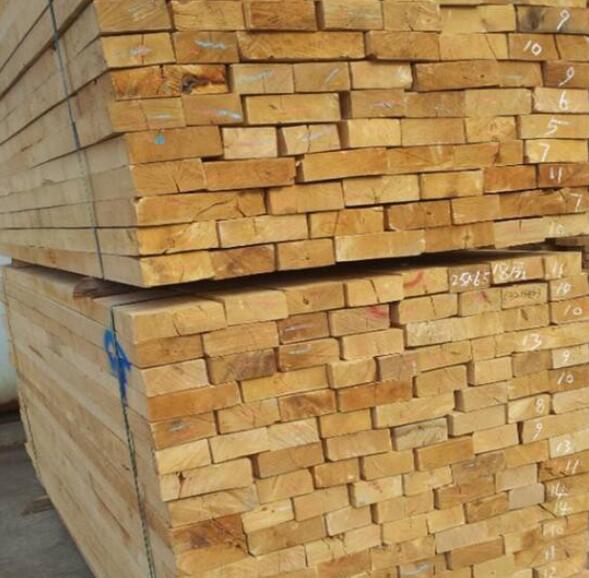 白俄罗斯木材出口继续扩大