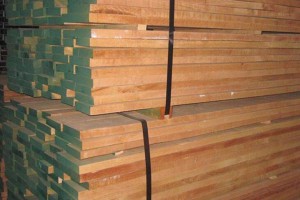缅甸卡斯拉木板材价格行情-2024年3月5日