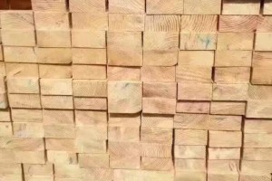 新民洲木材加工企业全面复工复产