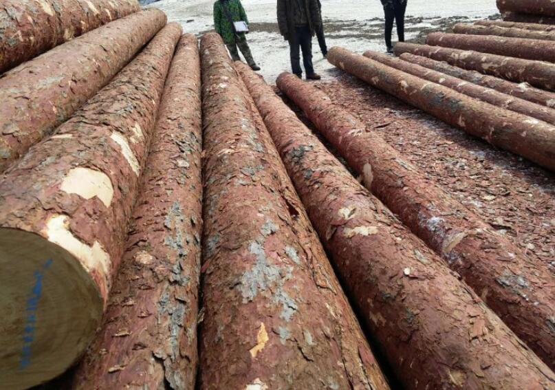黑龙江绥芬河口岸木材年进口量近350万立方米