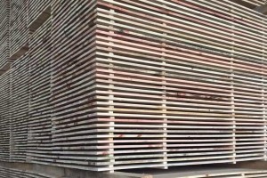 伊春市友好区开展木材加工企业发展情况专题调研