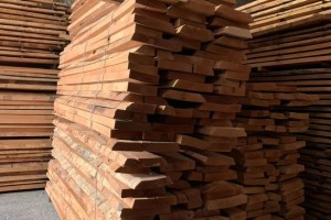 欧洲进口榉木板材批发