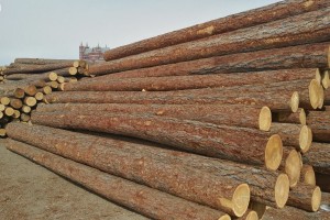 中国从俄罗斯进口木材下降