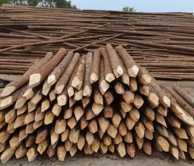 中国针叶材原木价格行情