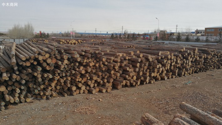 中国是俄罗斯木材最大买家