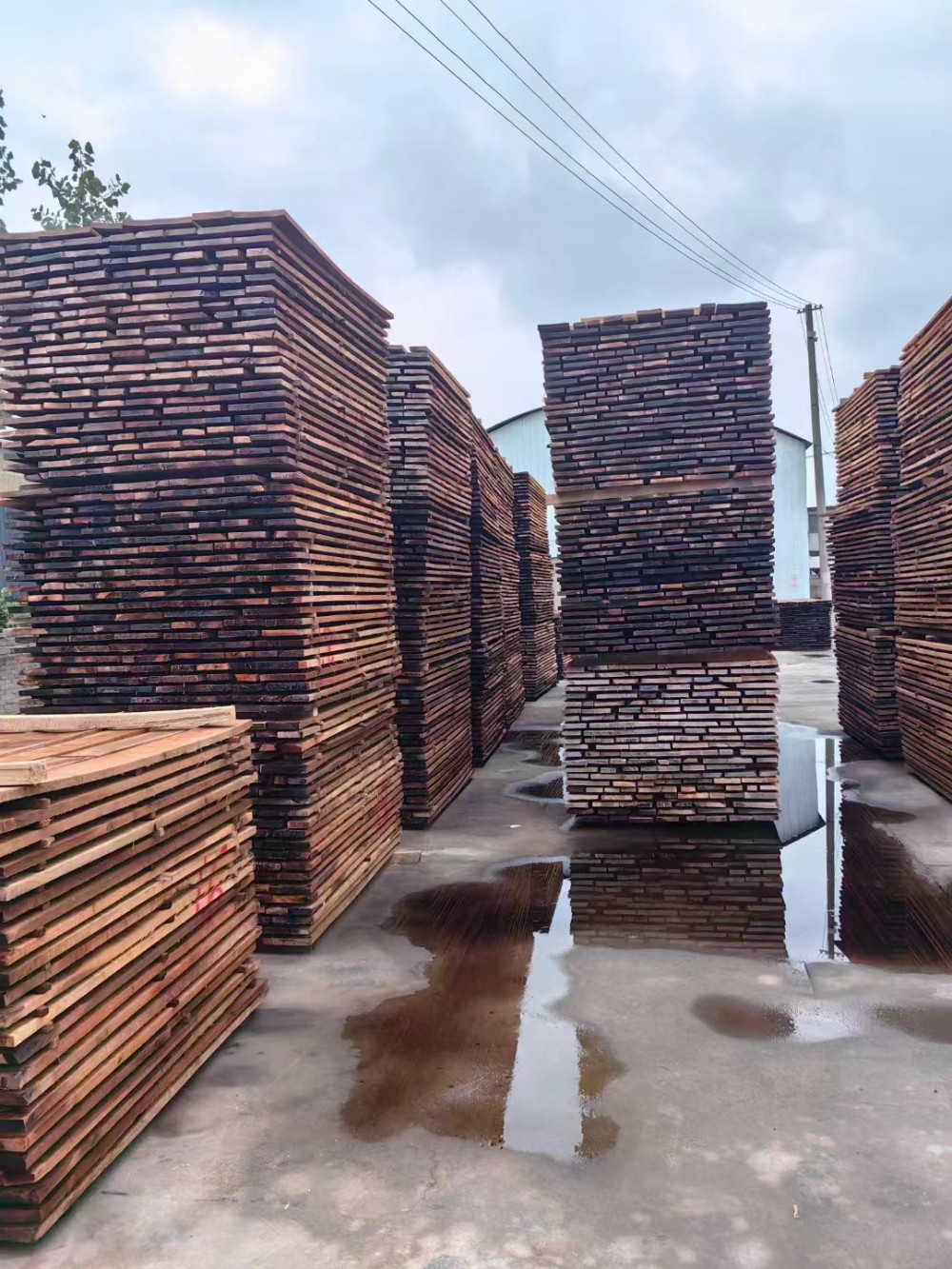 河南永晟碳化核桃木(东南亚黑胡桃)板材图片高清供应
