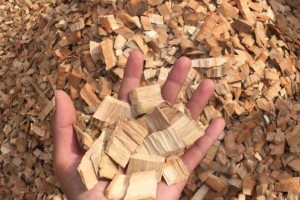 中国成越南最大木片出口市场