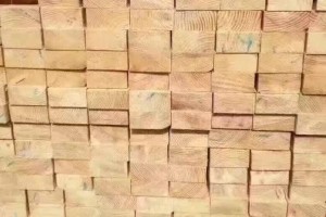 云南江城县县长到康平镇调研木材加工产业发展情况