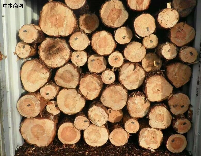 白俄罗斯对中国“新兴”木材出口超越传统市场