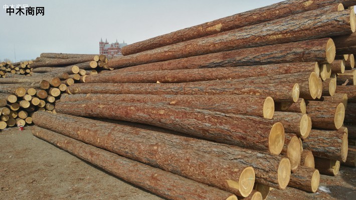 美国允许从俄罗斯进口木材