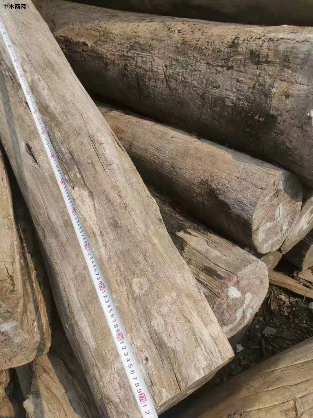 低价处理一批缅甸柚木原木供应