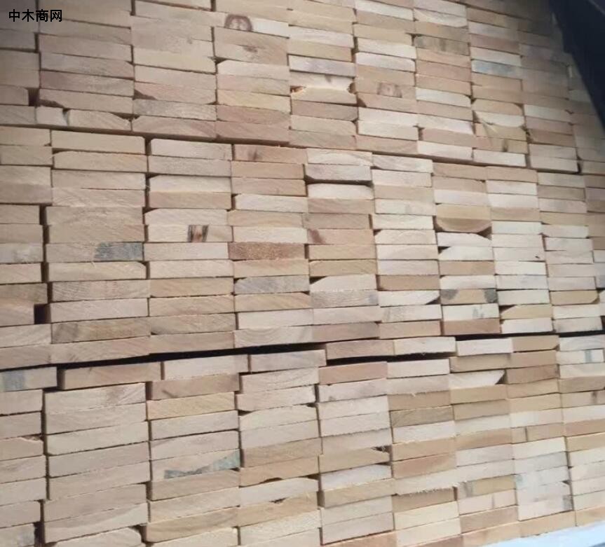 樟子松木板材价格行情