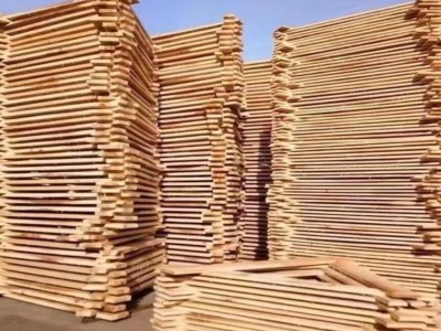 求购：白杨木烘干板材图1