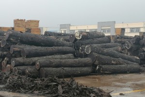 新民洲港今年已接卸木材超60万立方米