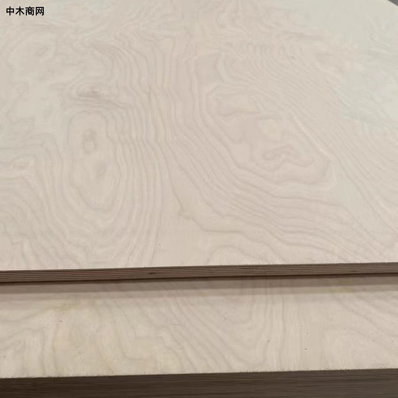 源头直批一手进口桦木胶合板