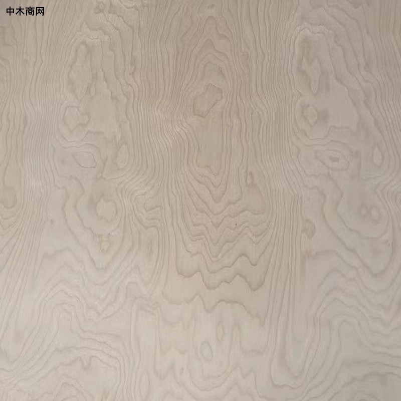 源头直批一手进口桦木胶合板价格