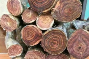 前5个月越南木材及木制品出口额预计超60亿美元