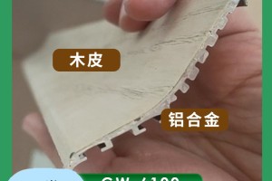 被行业誉为“中国木皮胶专家”是哪家品牌公司？