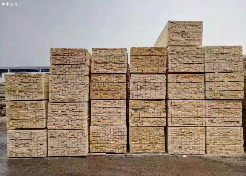 数转智改赋能曹县木材加工产业转型升级