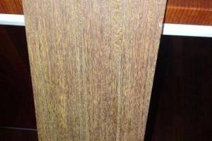 圆盘豆价格行情分析