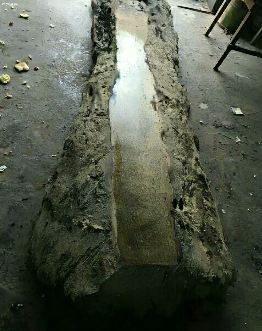乌木是什么木头?为什么说家有黄金万两,不如乌木一方供应