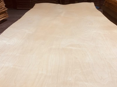 桦木木皮25至70丝长期生产供应，4×8/9/10图2