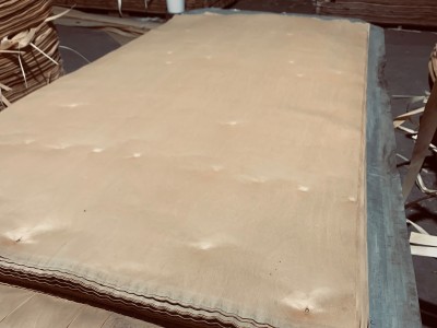 桦木木皮25至70丝长期生产供应，4×8/9/10图3