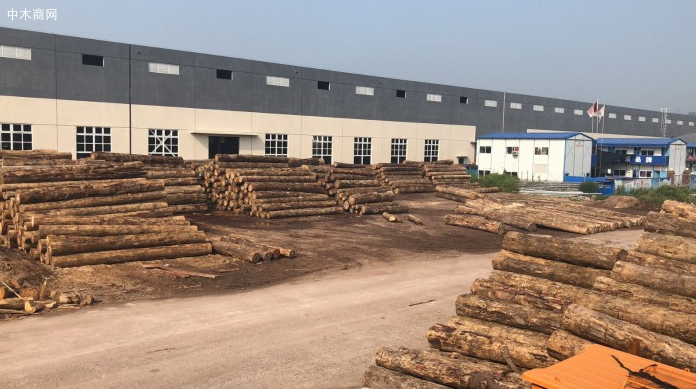 新西兰最新报告：中国木材市场将复苏！