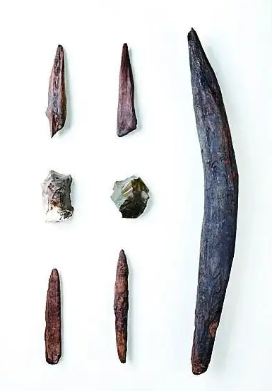 中国发现30万年前木器