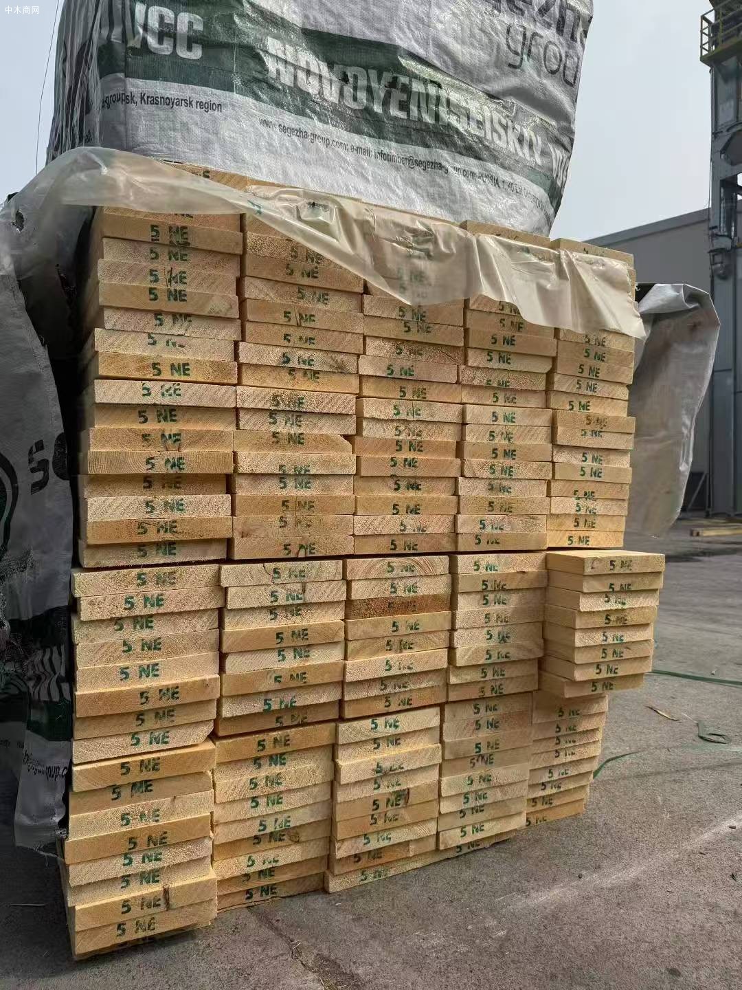 俄罗斯NOVO樟子松烘干板材批发