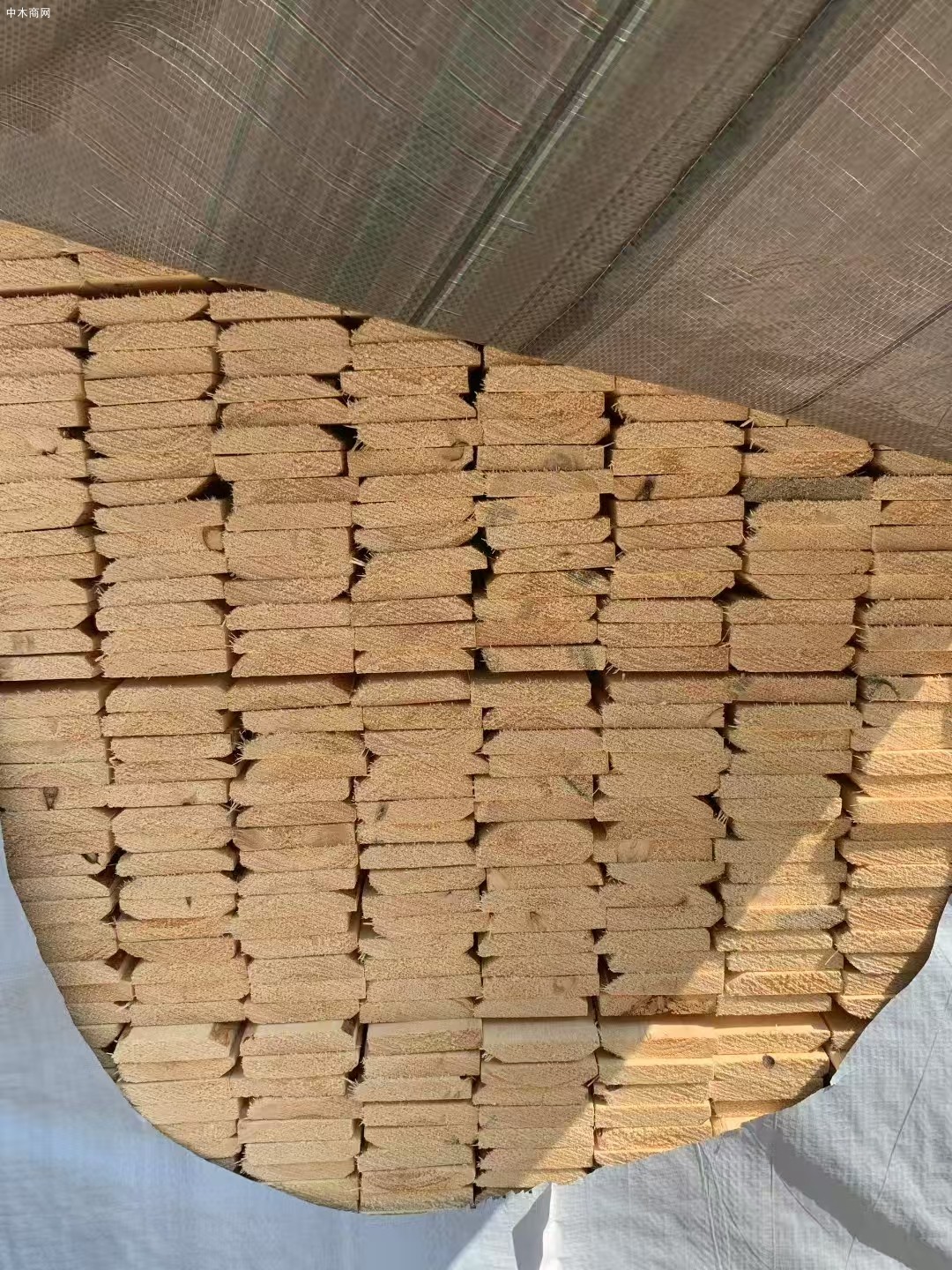 特价处理俄罗斯樟子松烘干板材