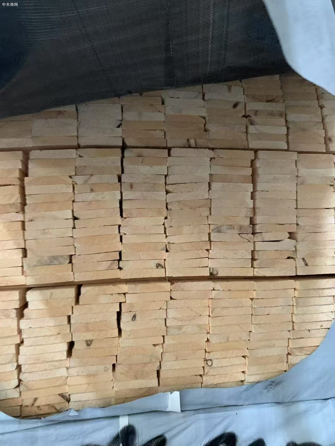 特价处理俄罗斯樟子松烘干板材图片