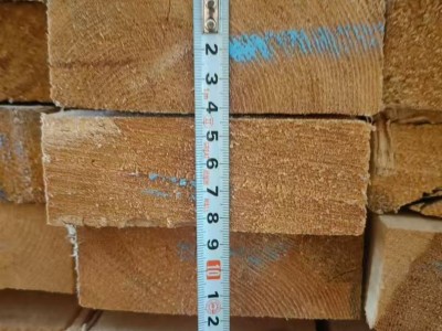 多片锯樟子松干板批发图2