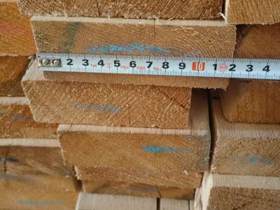 多片锯樟子松干板批发图3
