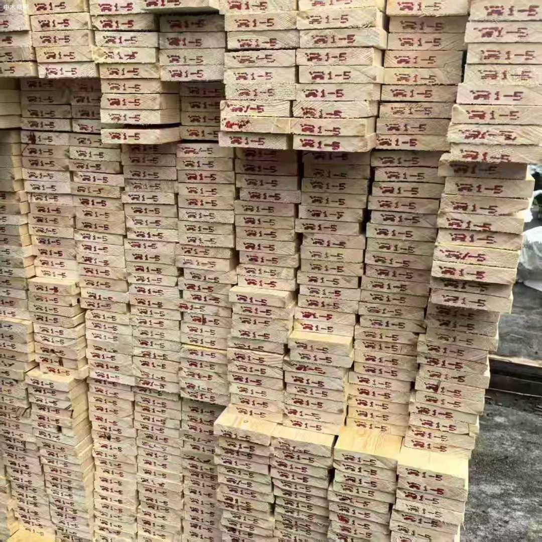云杉烘干板材批发图片
