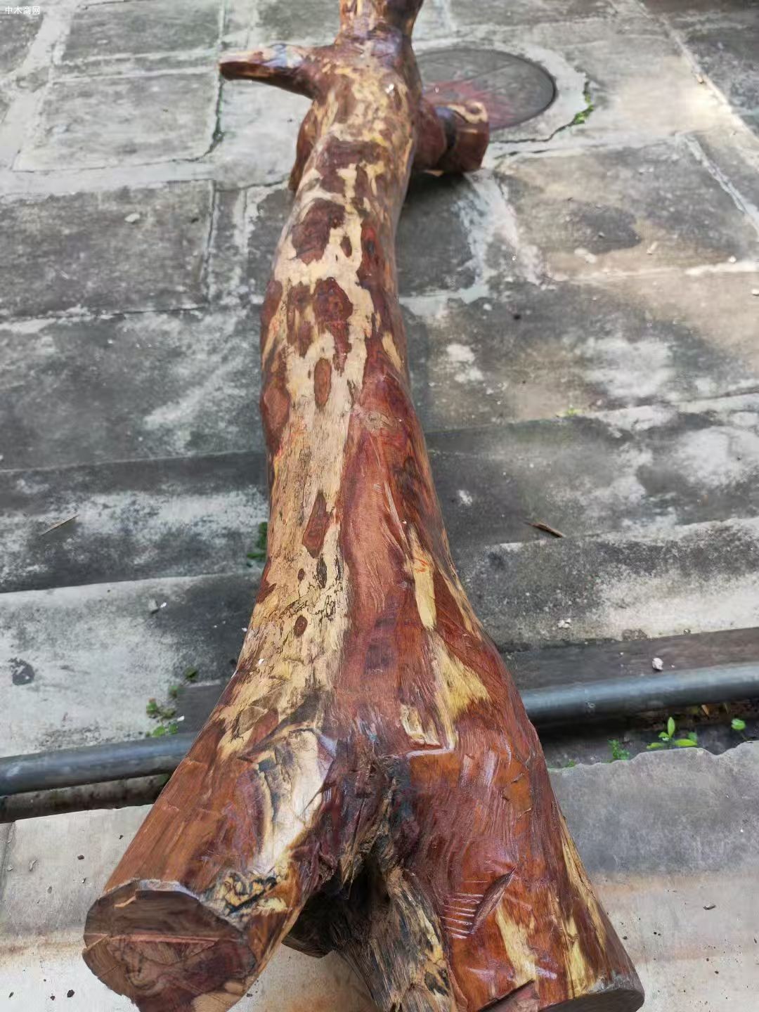海南黄花梨收藏料一根