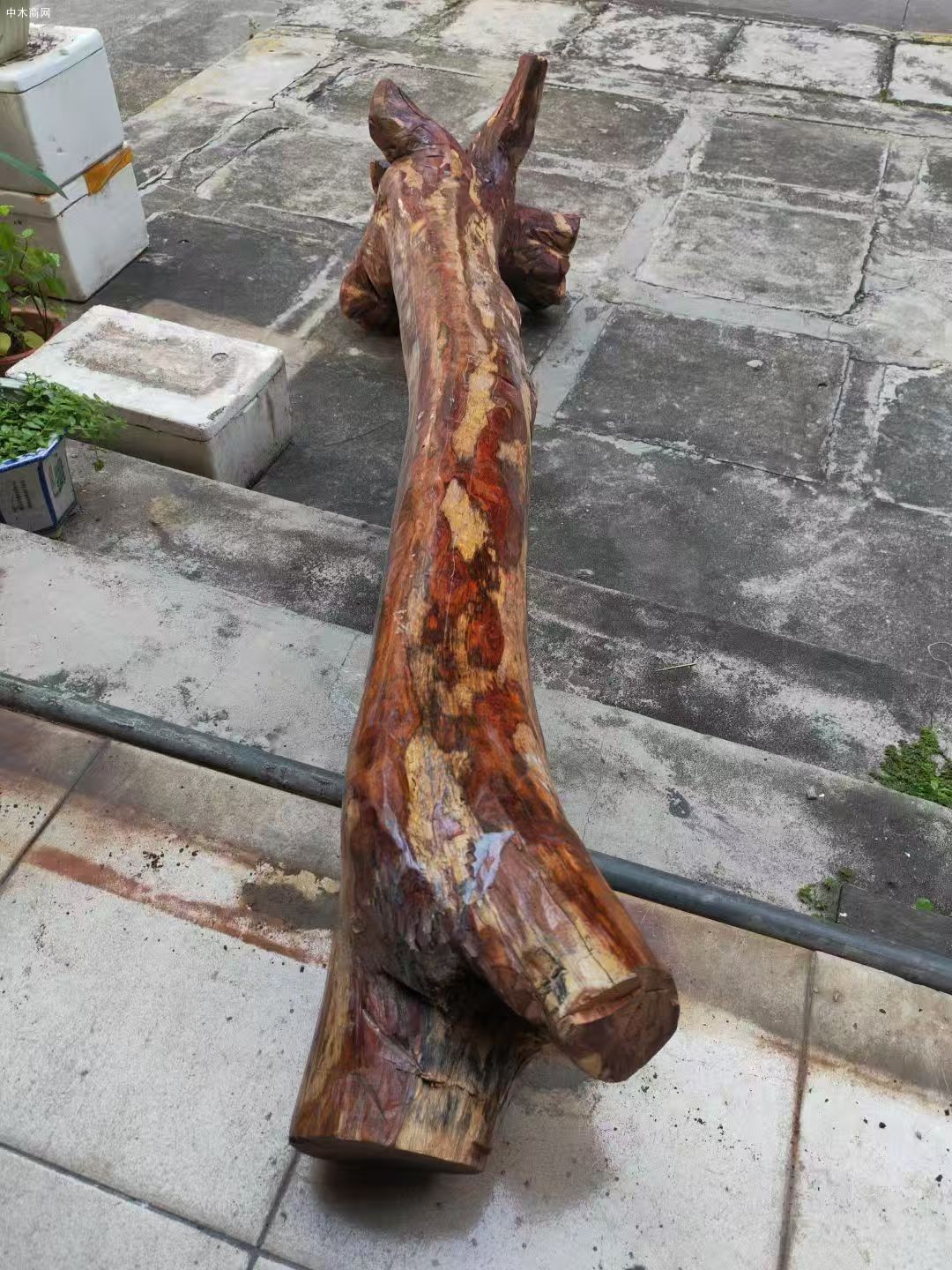 海南黄花梨收藏料一根价格
