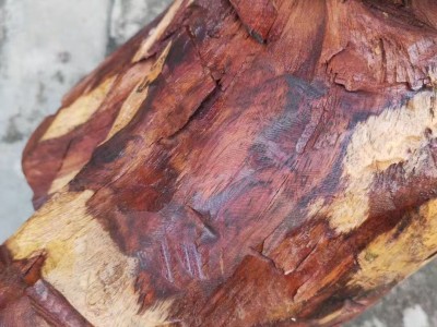 海南黄花梨收藏料一根图4