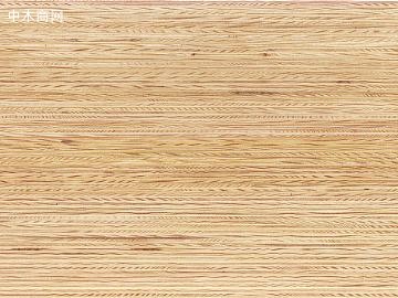 2025年8月28日榆木价格行情深度分析报告