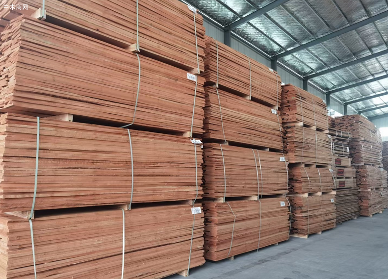 欧洲榉木价格行情分析 欧洲榉木价格行情分析