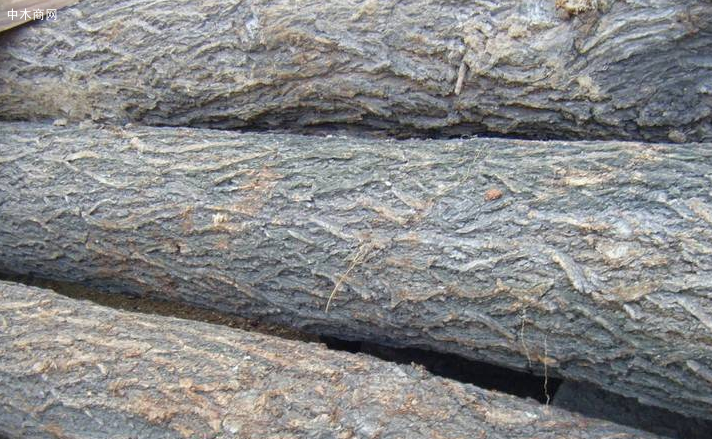 榆木价格行情走势分析 榆木价格行情走势分析