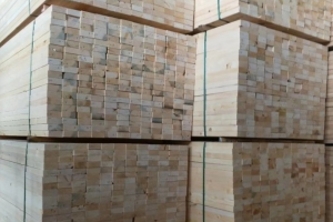 加拿大三甲木材厂宣布减产40% 加拿大三甲木材厂宣布减产40%