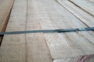 美国白蜡板材价格行情分析